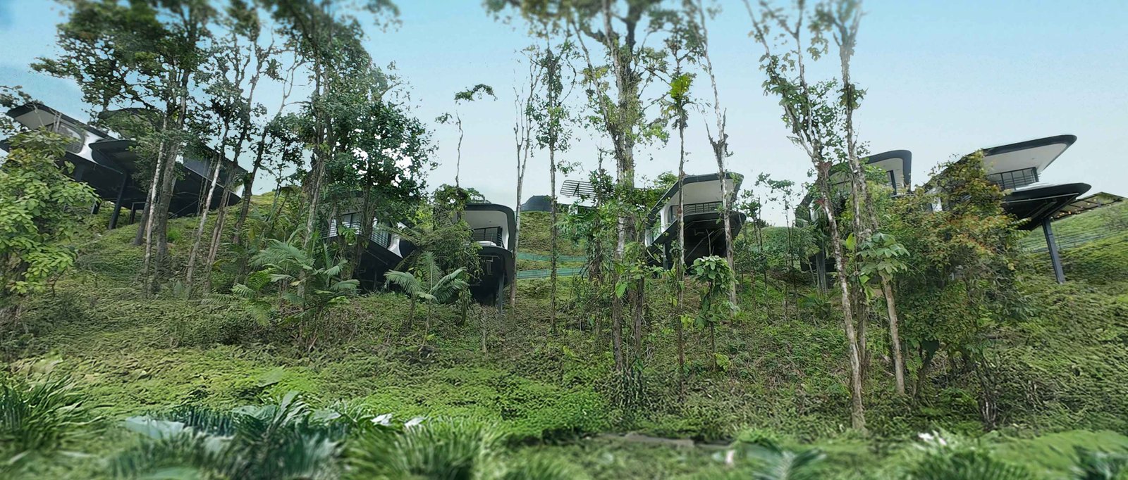 Cabañas de Saloya Mindo Life